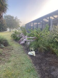 Native Gardens