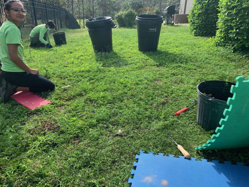 Gardening by My Dragonfly Gardens