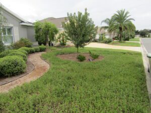 Florida Native Plant Maintenance Services
