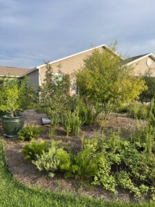 Native Gardens
