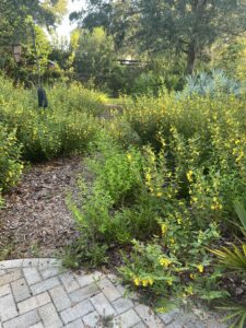 Garden Maintenance