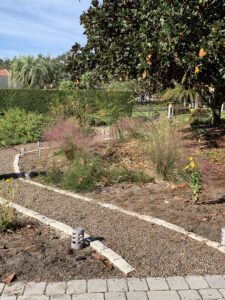 Native Gardens