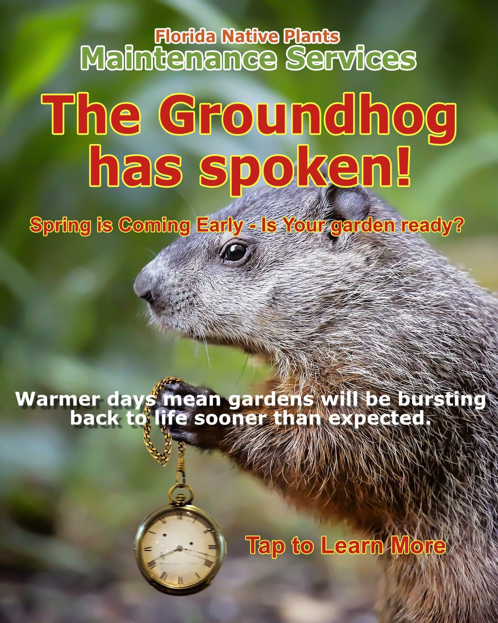The Groundhog has Spoken